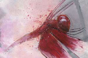 Red Grasshawk